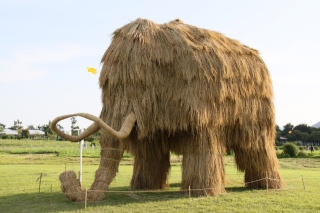 Illustration for article titled Japan's Straw Beasts Are Huge, Wonderful, and Highly Flammable